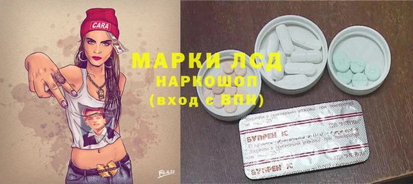 стаф Алзамай