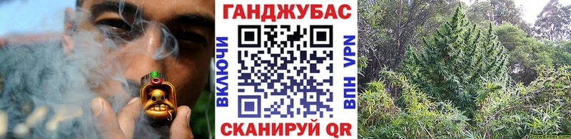 Марихуана план  цены   Нестеровская 